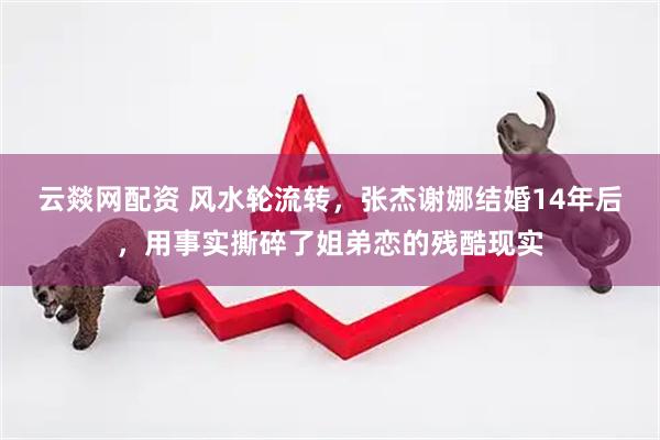 云燚网配资 风水轮流转，张杰谢娜结婚14年后，用事实撕碎了姐弟恋的残酷现实