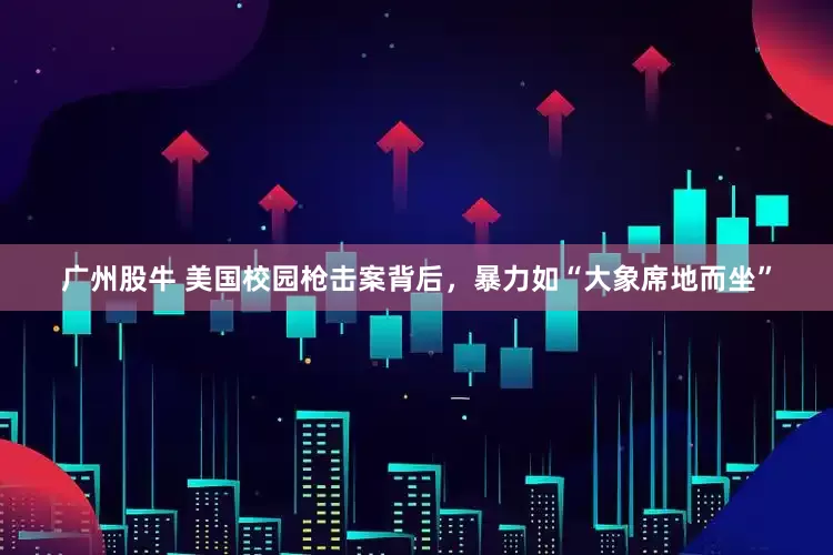 广州股牛 美国校园枪击案背后，暴力如“大象席地而坐”