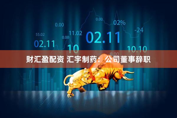 财汇盈配资 汇宇制药：公司董事辞职