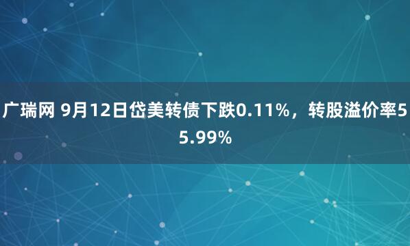 广瑞网 9月12日岱美转债下跌0.11%，转股溢价率55.99%