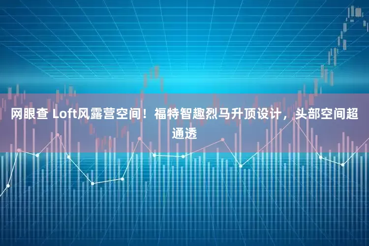 网眼查 Loft风露营空间！福特智趣烈马升顶设计，头部空间超通透